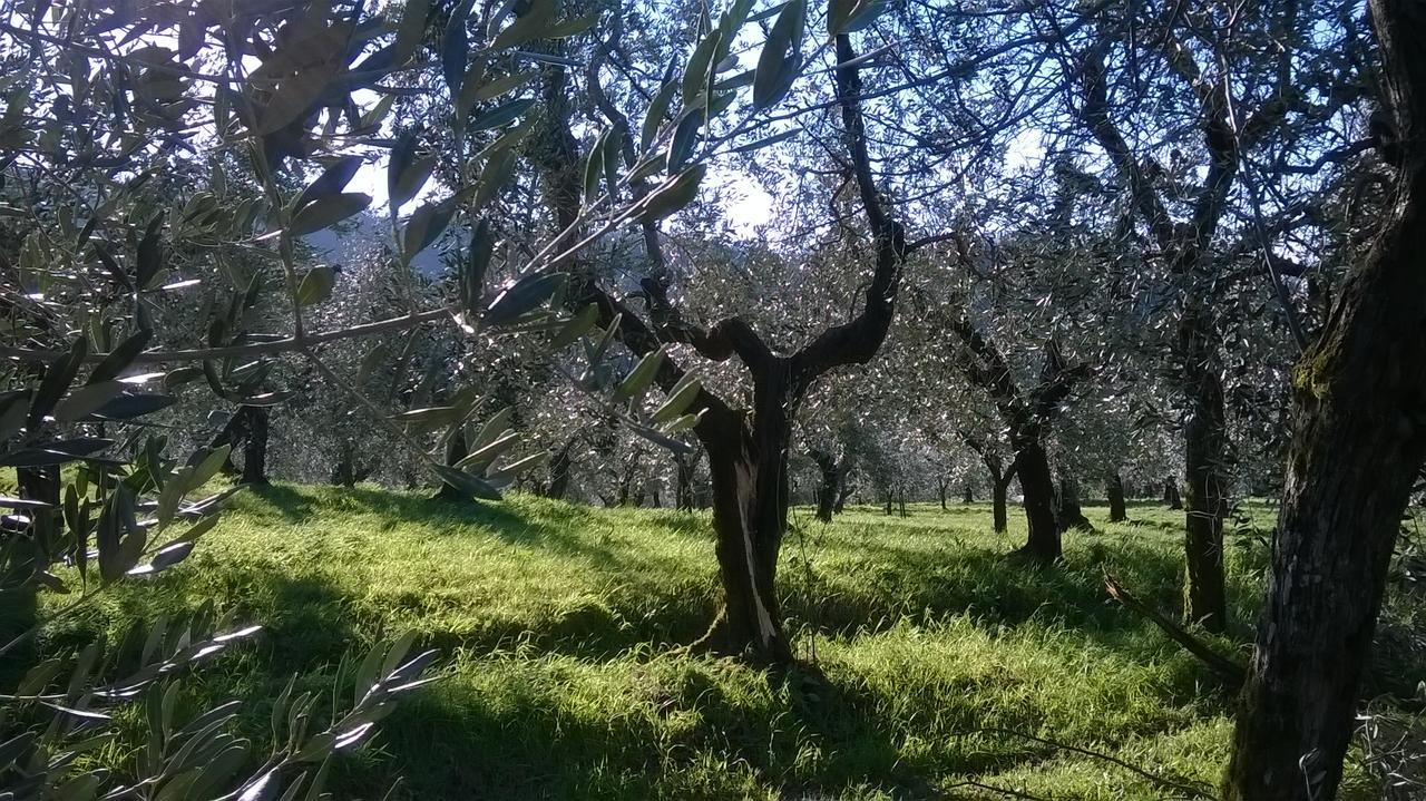 Villa Pacinotti Pistoia Eksteriør billede