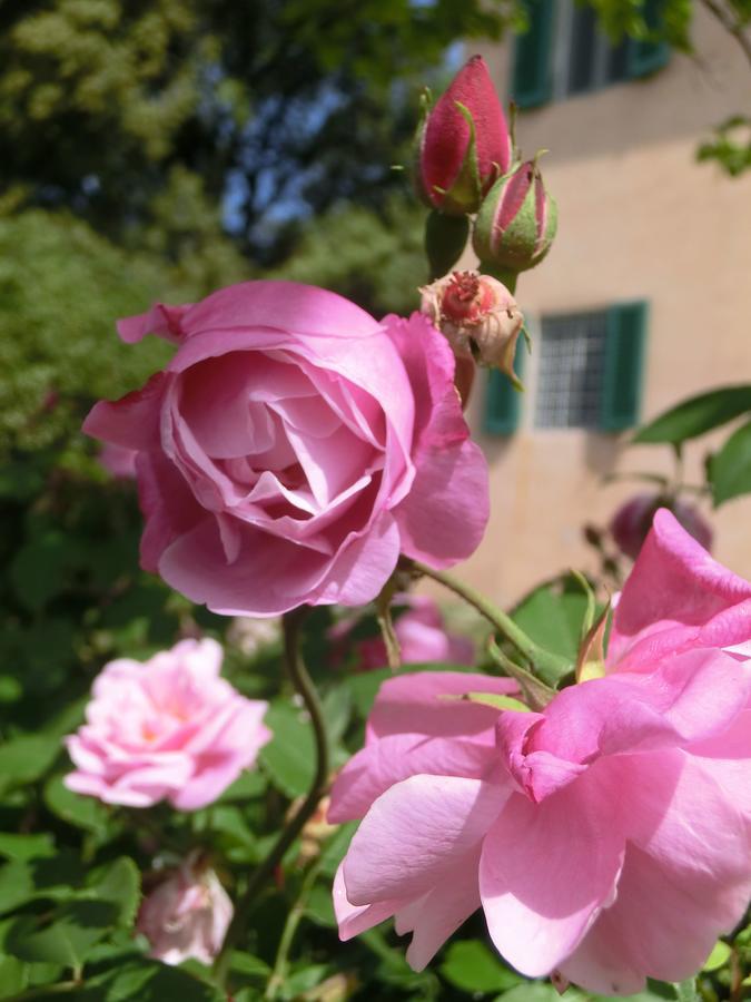 Villa Pacinotti Pistoia Eksteriør billede
